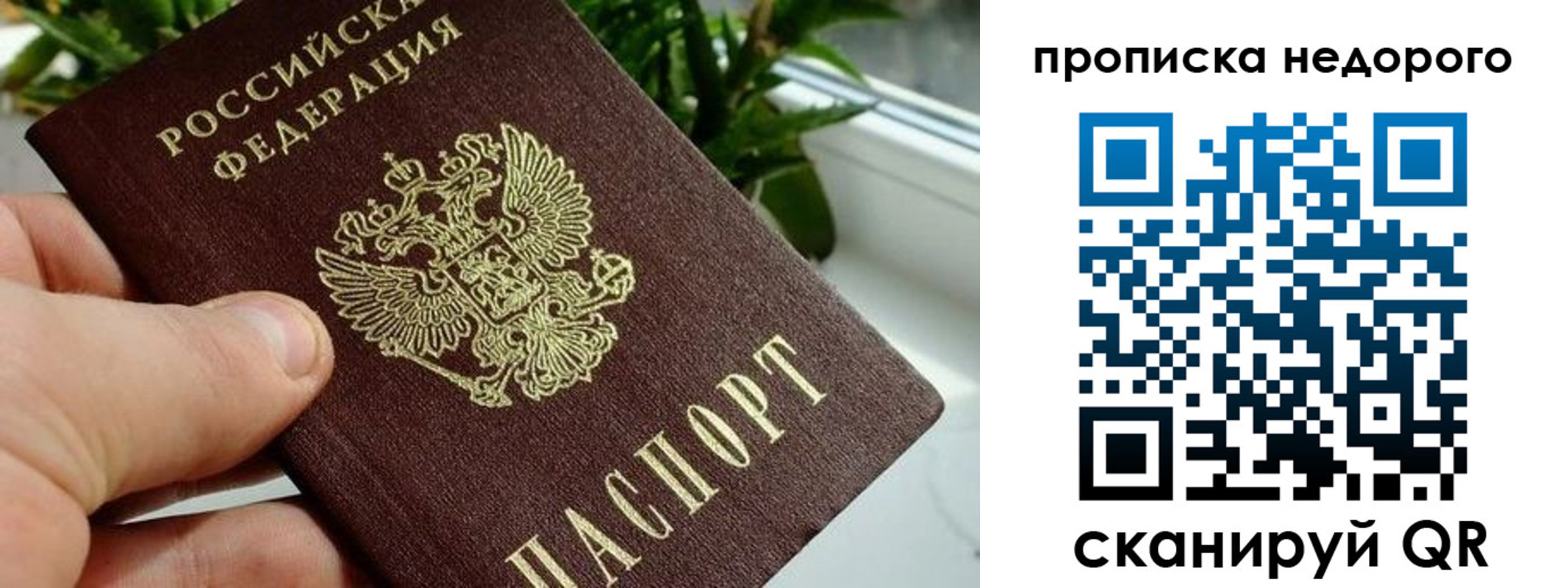 прописка для кредита в Трёхгорном